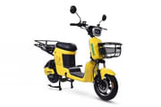 Techo Electra Saathi 2021-2025 48 V- 22 Ah scooter