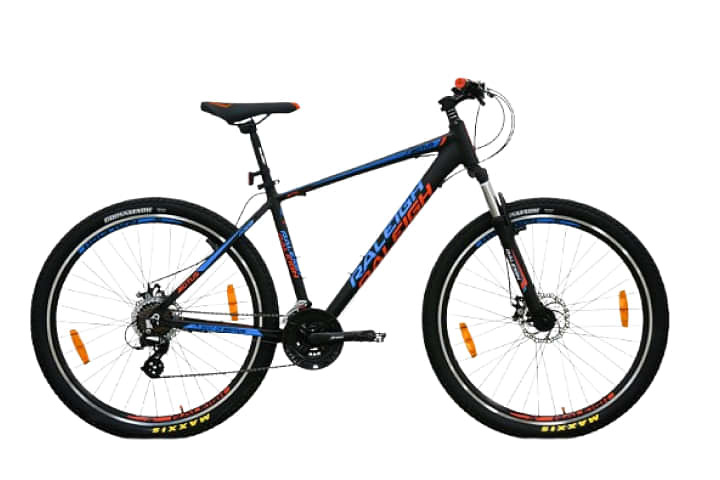 Raleigh MOTUS 29 MS