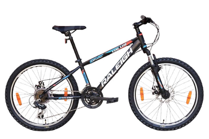 Raleigh TALUS 24 MS