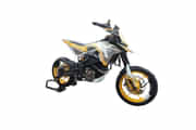 TVS RTX 300
