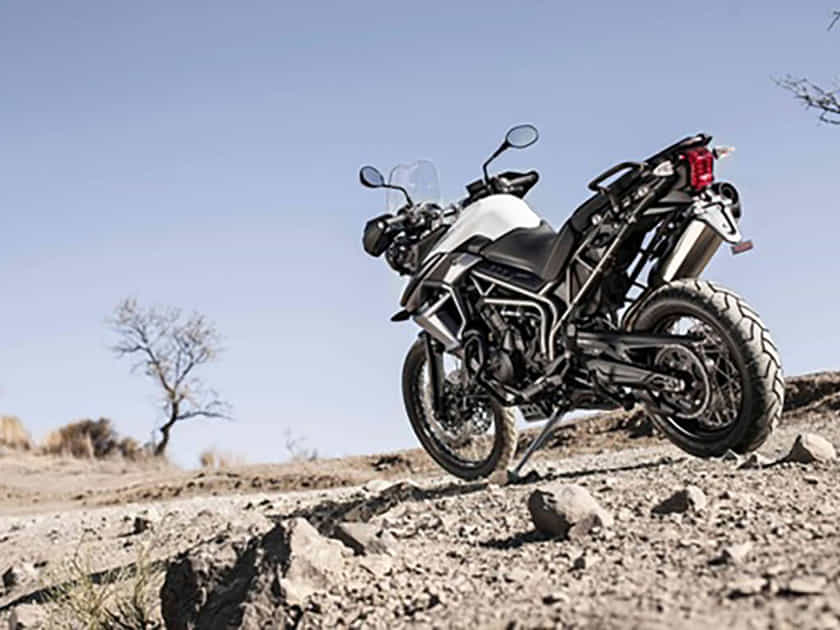 Triumph Tiger 800 XC 2020-2023 image