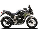 Yamaha Fazer  2009-2010 image
