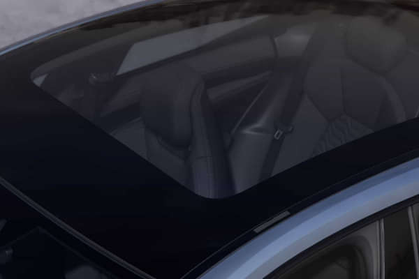 Audi E-Tron GT 2021-2025 Roof Mounted Controls/Sunroof & Cabin Light Controls