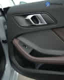 Rear Door Pad Handle