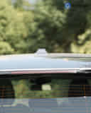 Rear Windshield / Windscreen