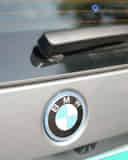 Rear Badge