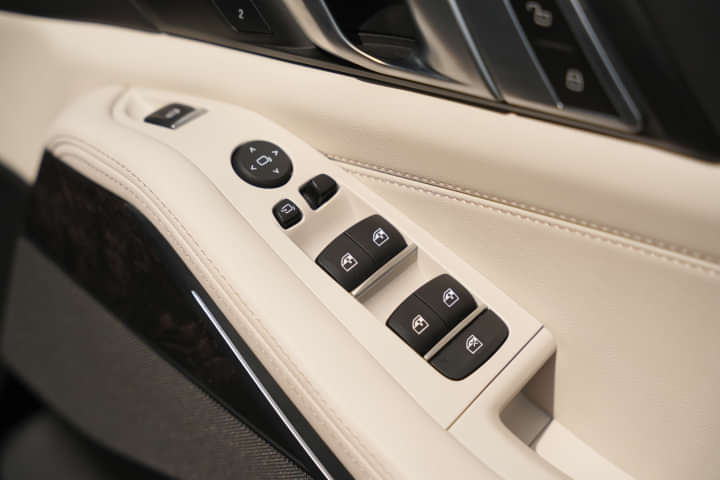BMW X5 Driver Side Door Switches
