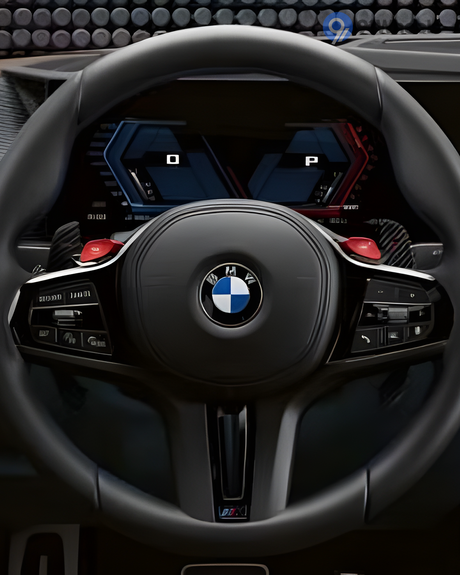 XM Steering Wheel