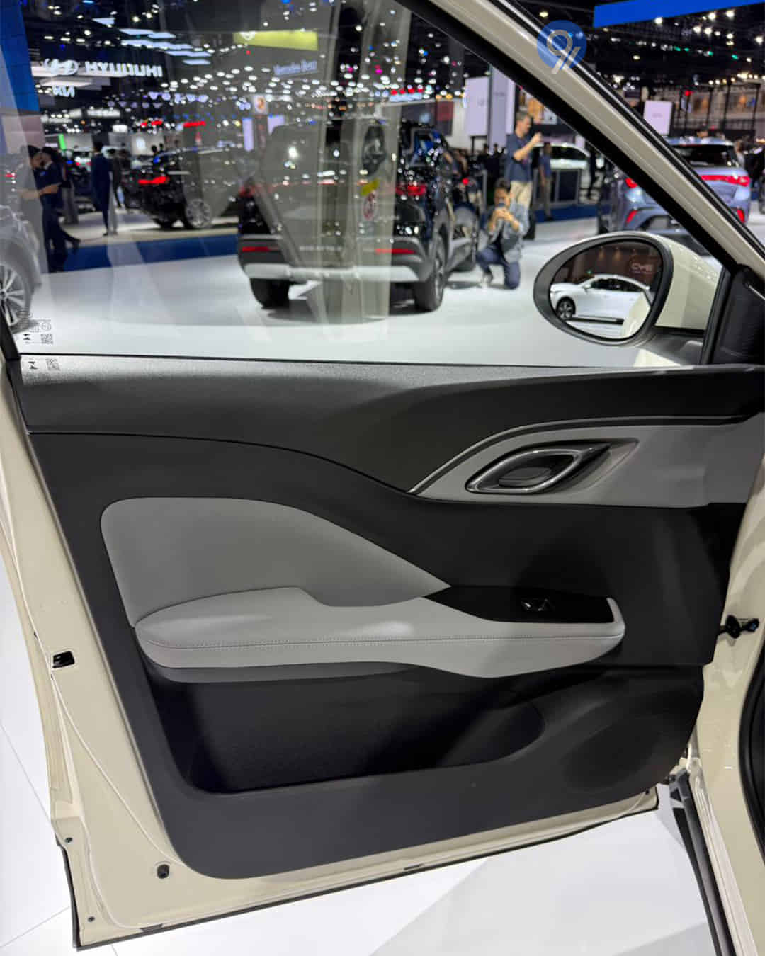 Front Passenger Side Door Pad