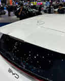 Rear Windshield / Windscreen