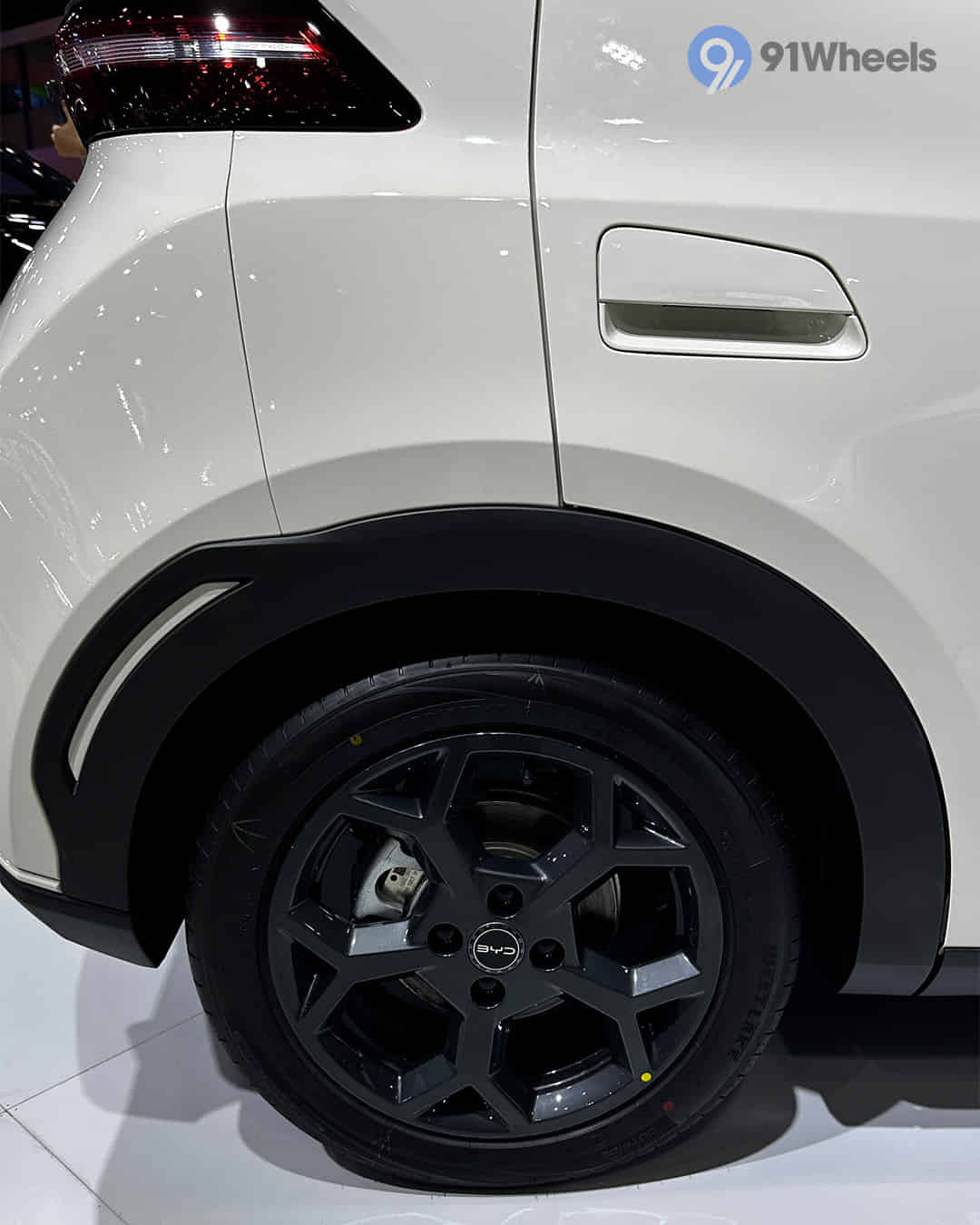 Rear Fender Rear Fender
