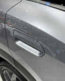 Rear Door Handle