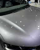 Closed Hood / Bonnet