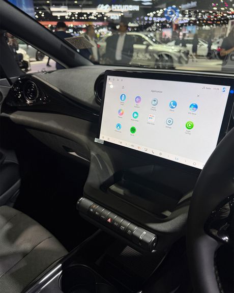 Dolphin Infotainment Display
