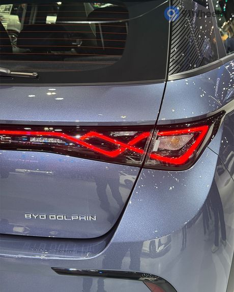 Dolphin Rear Signal / Blinker Light