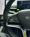 Left Steering Mounted Controls