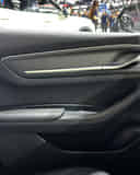 Front Passenger Side Door Pad