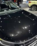 Closed Hood / Bonnet