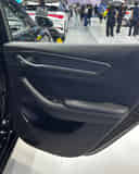 Rear Door Pad