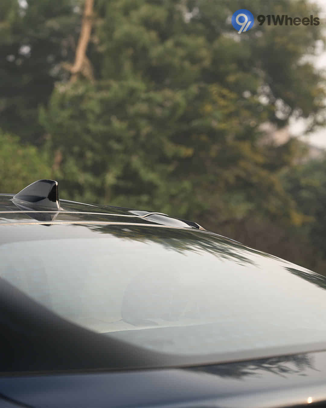 Rear Windshield / Windscreen