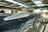 Aircross X Images  Aircross X Images