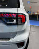 Rear Signal / Blinker Light