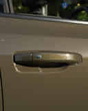 Front Door Handle