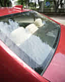 Rear Windshield / Windscreen