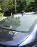 Rear Windshield / Windscreen