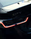 Rear Signal / Blinker Light