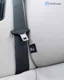 Seatbelts (if available)
