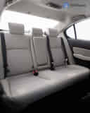 Rear Seats