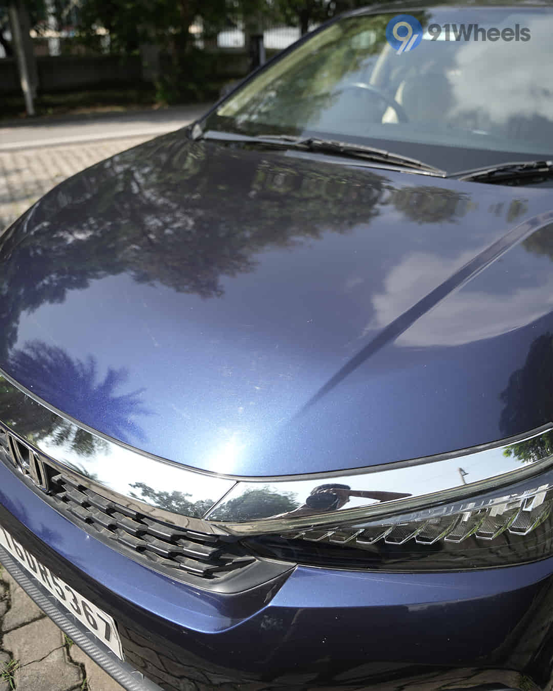 Closed Hood / Bonnet