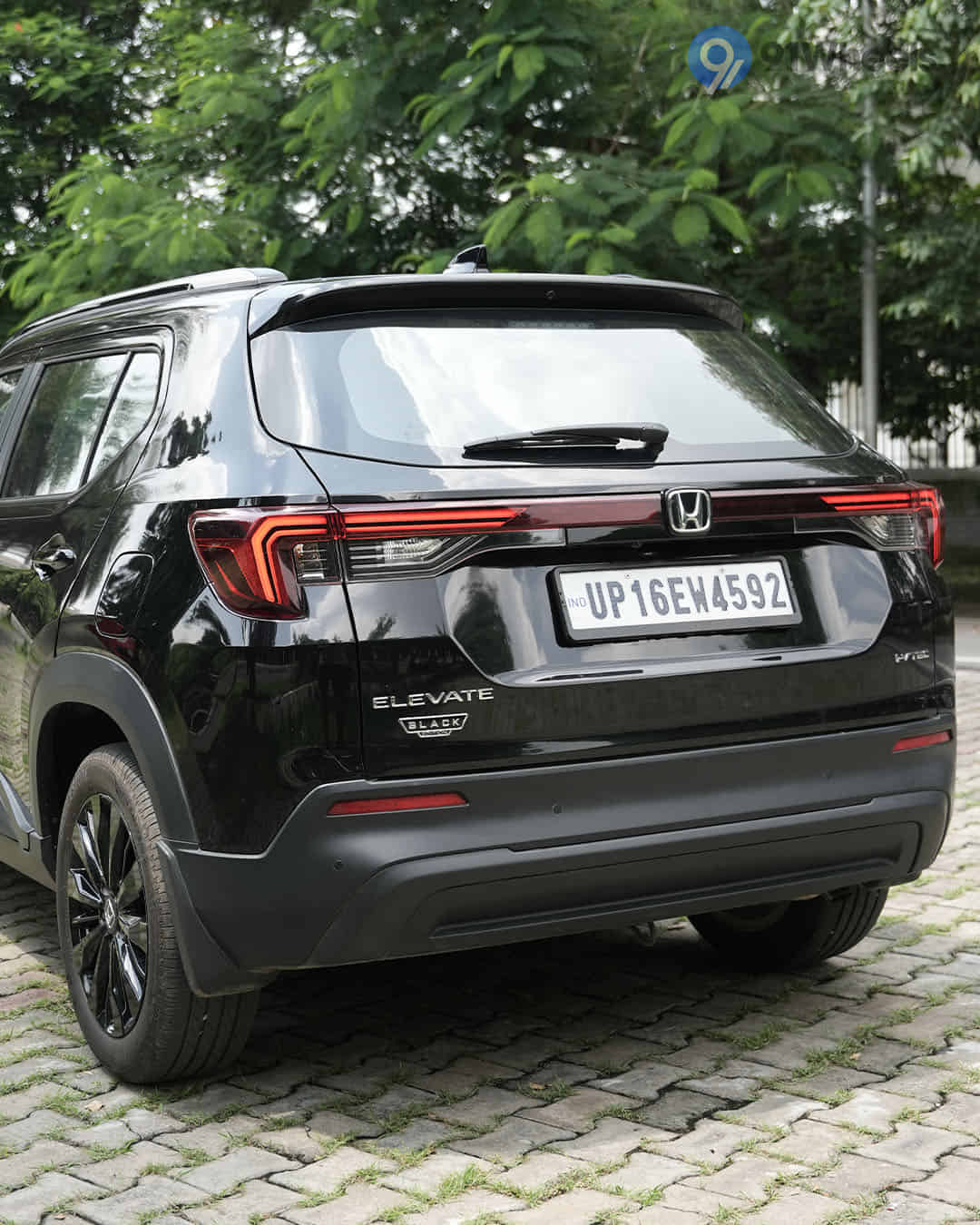 Rear Windshield / Windscreen