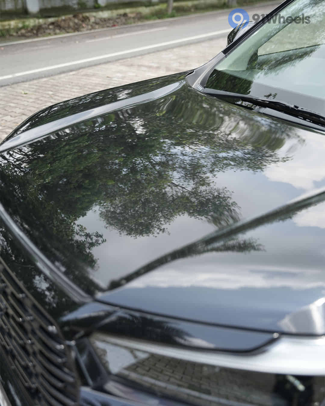 Closed Hood / Bonnet