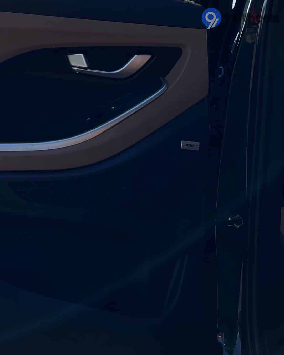 Rear Door Pad Handle