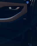 Rear Door Pad Handle