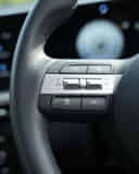 Left Steering Mounted Controls