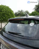 Rear Windshield / Windscreen