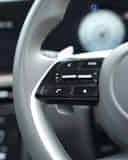 Left Steering Mounted Controls