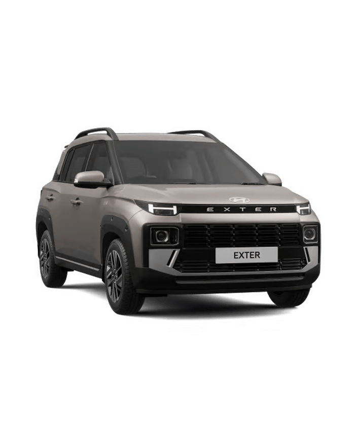 Exter image Exter image