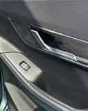 Rear Door Pad Handle