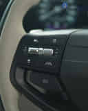 Left Steering Mounted Controls