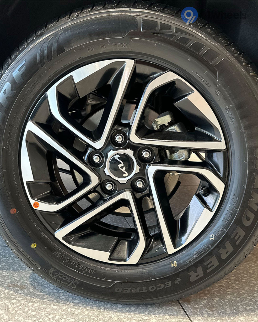 Outerview - 17 Outerview - 17