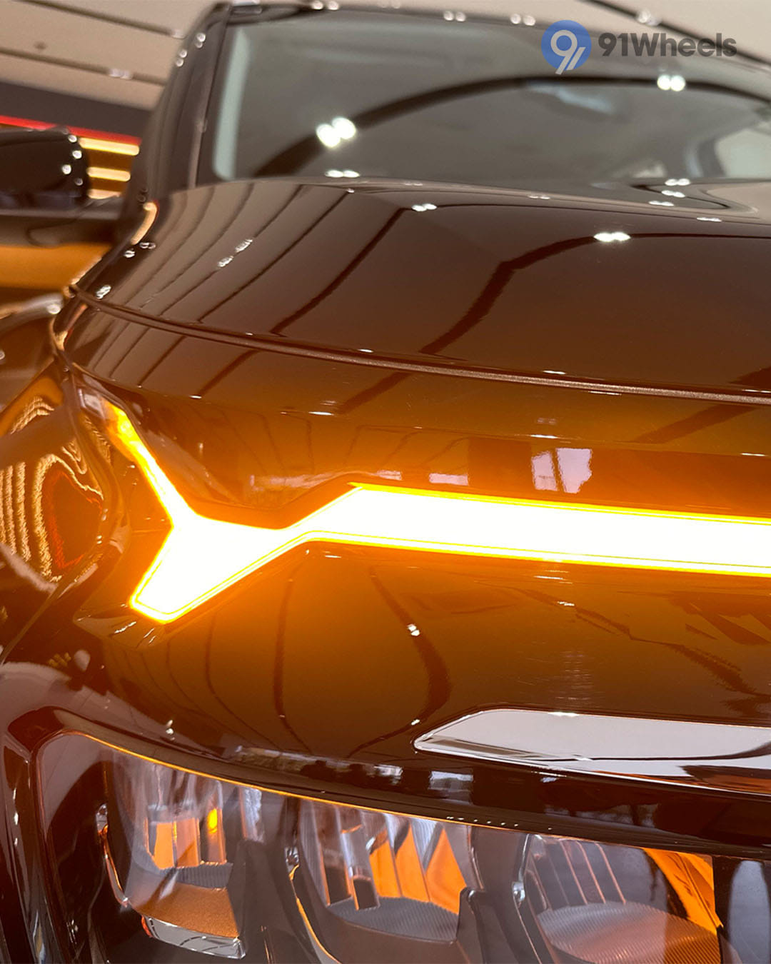 Headlights & Tail-lights - 6 Headlights & Tail-lights - 6