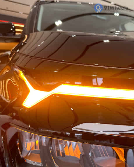 Carens Blinker