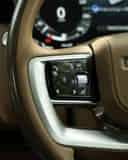 Left Steering Mounted Controls