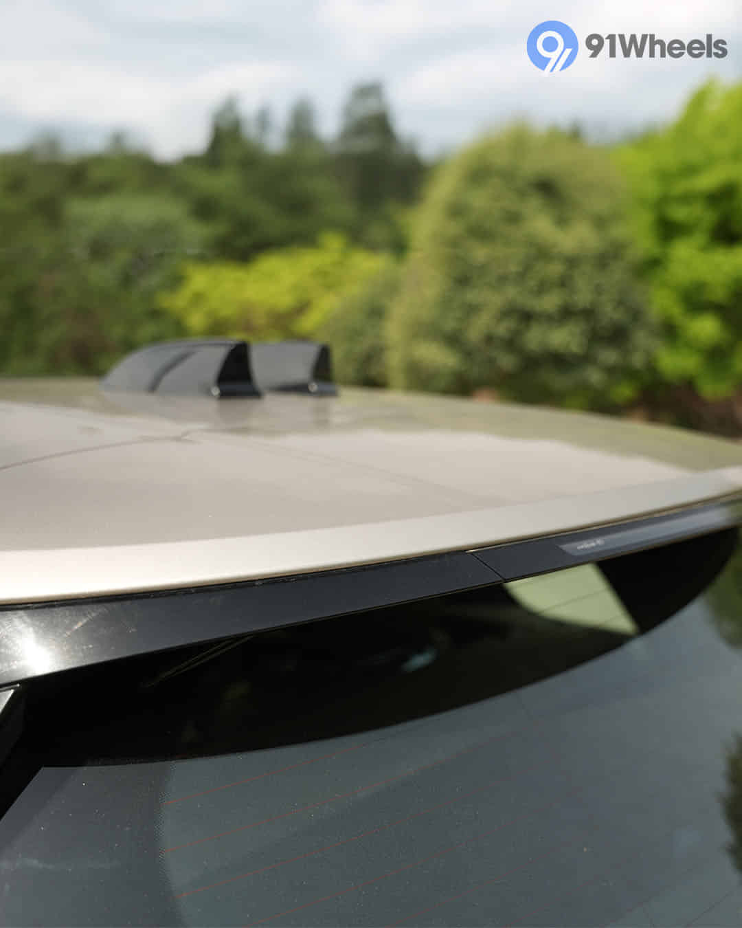 Rear Spoiler