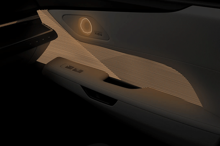 Driver Side Door Pad Handle