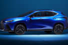 NX images